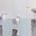 Meerglueck - Herz Von 9 公寓